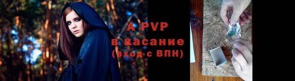 Альфа ПВП Корсаков