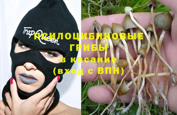 Альфа ПВП Корсаков