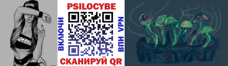 Псилоцибиновые грибы Psilocybine cubensis  гидра tor  Кизилюрт 